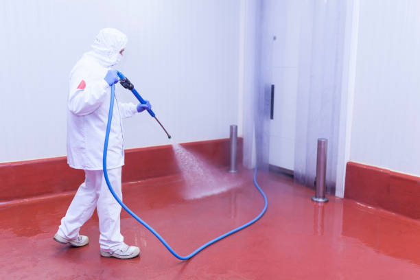 Trusted Anderson Island, WA Pressure Washing Experts